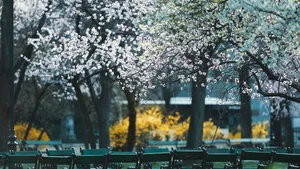 Prognoza meteo pentru perioada 30 martie -12 aprilie. Vremea se răceşte accentuat. Urmează temperaturi de -5 grade