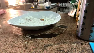 Un fast food din Galaţi a fost închis după ce un client a filmat gândaci plimbându-se prin vitrine