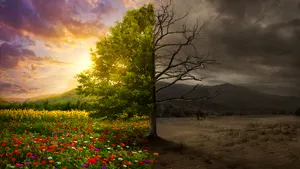 Moartea este o experienţă mai ”plăcută” decât îşi închipuie majoritatea oamenilor