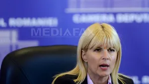 Hotărârile de încuviinţare a urmăririi penale şi a arestării preventive în cazul Elenei Udrea, publicate în Monitorul Oficial