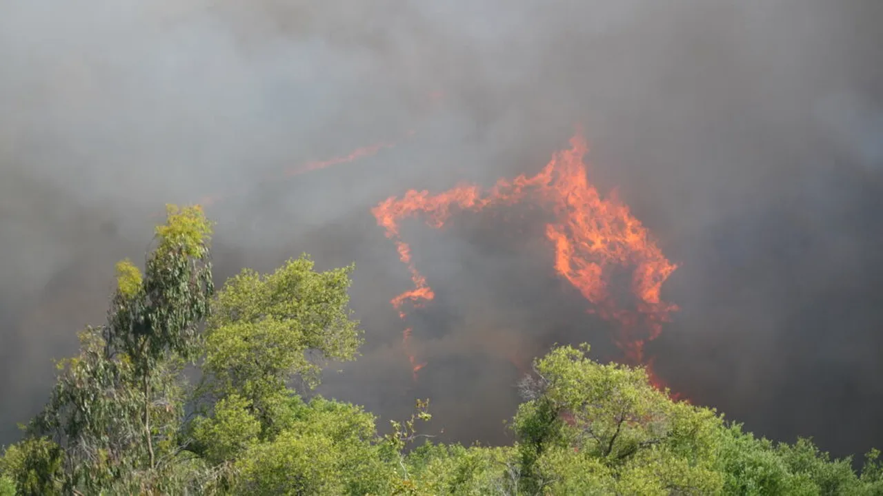 Alertă de nivel 2 în Spania, în urma unui incendiu de vegetație care a ars 330 de hectare. Mai mulți oameni sunt evacuați