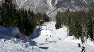 Gazprom va investi cel puţin două miliarde de dolari în Jocurile Olimpice de la Sochi