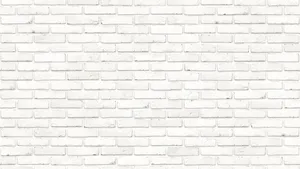 COMENTARIU Lelia MUNTEANU: Câinele lacrimilor