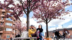 Au scos carantina şi nu au mai avut focare de infecţie. Ţara MODEL care a implementat cu succes măsurile de redeschidere a societăţii 