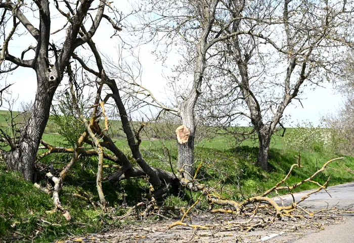 METEO După furtunile de joi, ANM emite noi alerte pentru mare parte din țară