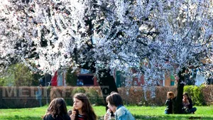 VREMEA pentru marţi şi miercuri. Ce temperaturi se vor înregistra în ţară şi în Bucureşti 