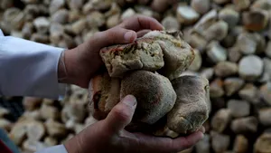 Ţara care se confruntă cu o criză a foamei fără precedent/ Numărul persoanelor lipsite de produse alimentare esenţiale a crescut cu peste 1 milion de la începutul pandemiei