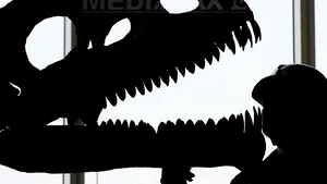 Dinţii dinozaurilor erbivori creşteau constant şi erau înlocuiţi o dată pe lună