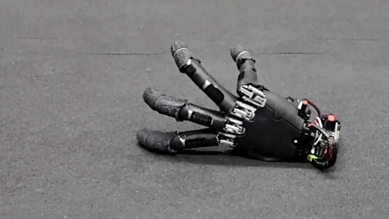 Mâna din „Familia Addams” a devenit realitate. Robotul care merge singur, apasă taste și mută obiecte
