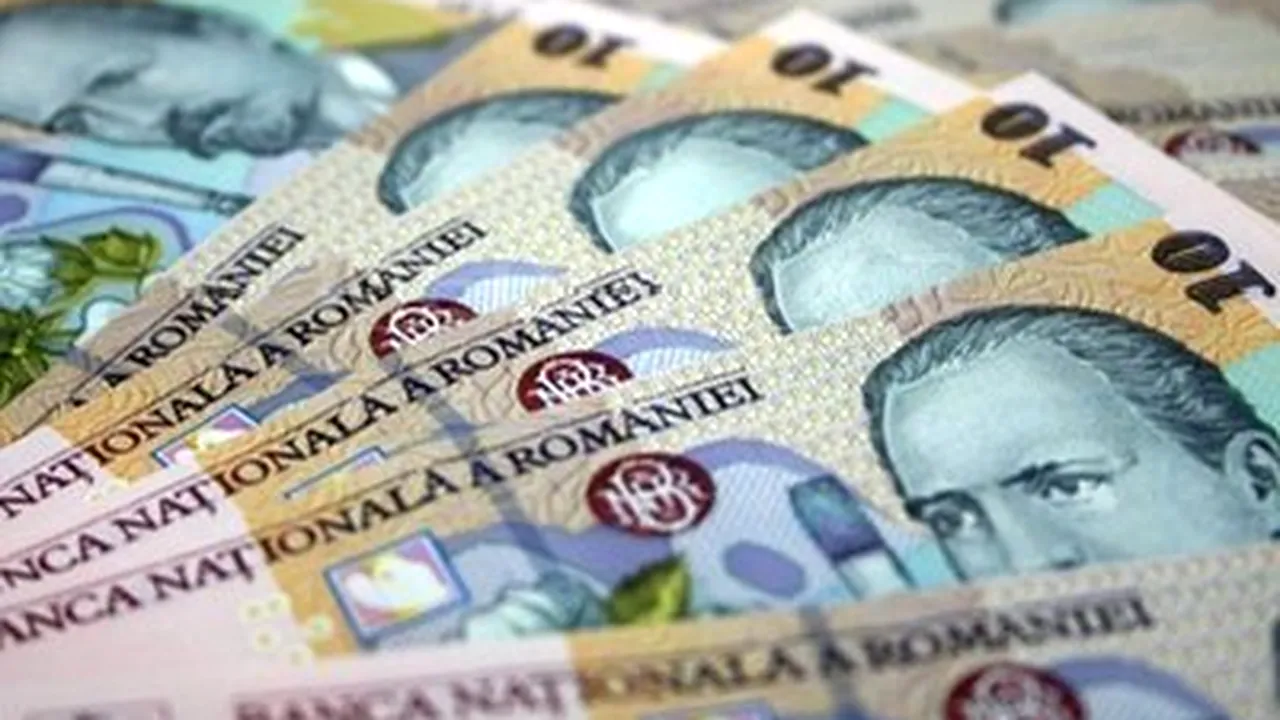 Romanian Farmers To Receive RON1.27B State Aid In 2010-2011 - Draft