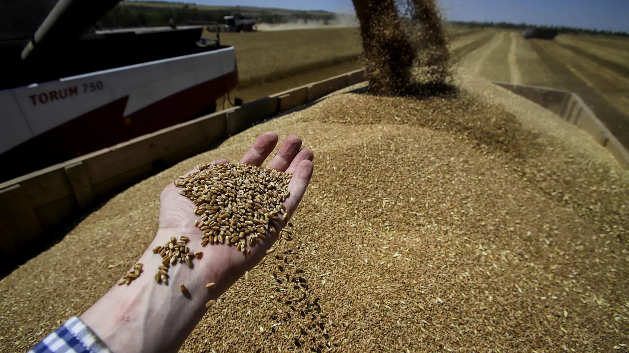 UE loveşte pentru prima dată sectorul agricol din Rusia. Vor fi impuse tarife la importurile de cereale pentru a-i calma pe fermierii din Europa de Est