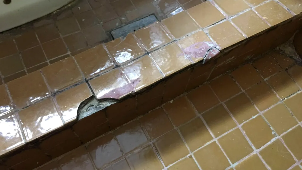 Mâncare expirată de 4 luni, în 5 restaurante controlate la Cluj. Amenzi de 350.000 lei 