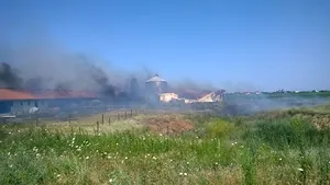 FOTO INCENDIU la un depozit de furaje din judeţul Galaţi. Locul a ars în întregime/ Angajaţii, evacuaţi