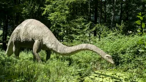 Un gigant de acum 150 de milioane de ani rescrie istoria dinozaurilor. Descoperire în premieră în Europa