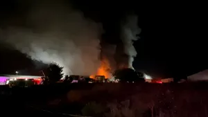 Poluarea aerului poate cauza forme agresive ale Demenței