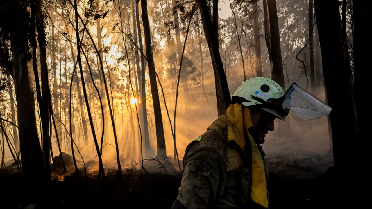 12 persoane au murit într-un incendiu de pădure în Spania