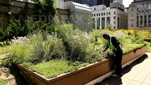 Grădini pe acoperişurile clădirilor. Ministrul Mediului vrea să lanseze un program pentru amenajarea lor