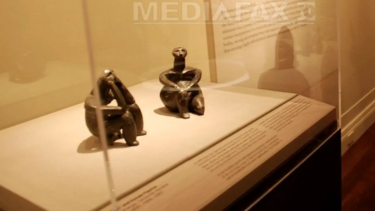 Expoziţia 