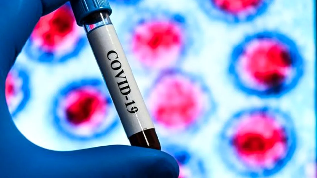 Bilanţ COVID 1 mai. Aproape 500 de noi cazuri şi 7 decese
