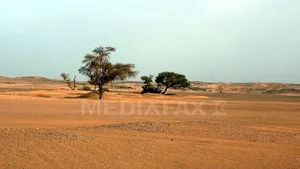 Răspunsul Europei la succesul gazelor de şist în SUA s-ar putea afla sub deşertul Sahara
