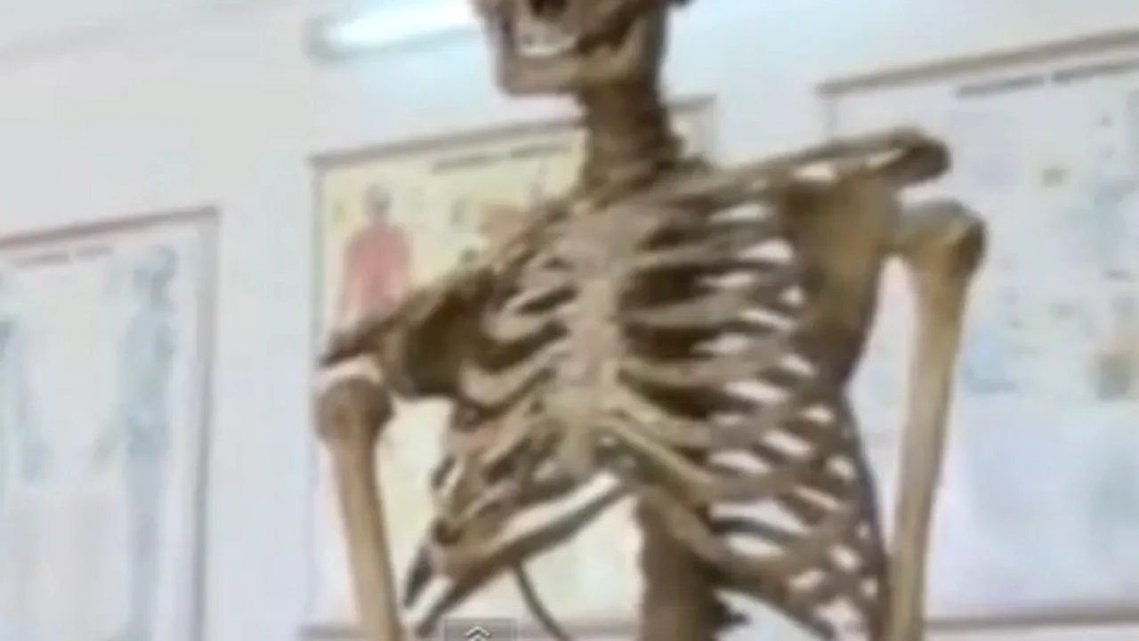 Elevii unei şcoli din Prahova învaţă anatomie folosind scheletul unui fost director al instituţiei - VIDEO