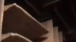 Visul oricărui om obosit: cel mai tăcut loc de pe Pământ. Cât timp ai rezista înăuntru? - VIDEO