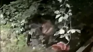 De o lună, oamenii dintr-o comună mureşeană sunt terorizaţi de urşi: Intră în coteţe şi omoară porcii - VIDEO