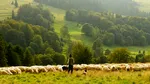 2.000 de euro pe lună, cazare și două zile libere pe săptămână: locul de muncă din Spania care a devenit subiect de presă