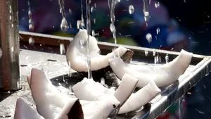 Şase motive pentru care uleiul de cocos este un miracol al naturii