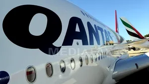 Un piton australian a călătorit pe aripa unui avion - FOTO