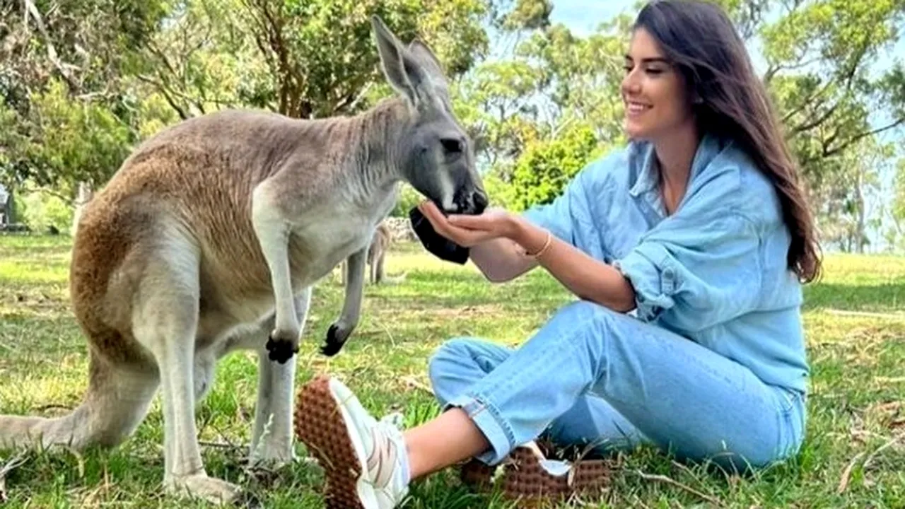Sorana Cîrstea şi-a făcut noi prieteni la Antipozi. Românca a postat poze cu simbolul Australiei