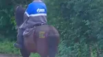 Crimeea ajunge să utilizeze cai din cauza lipsei de combustibil