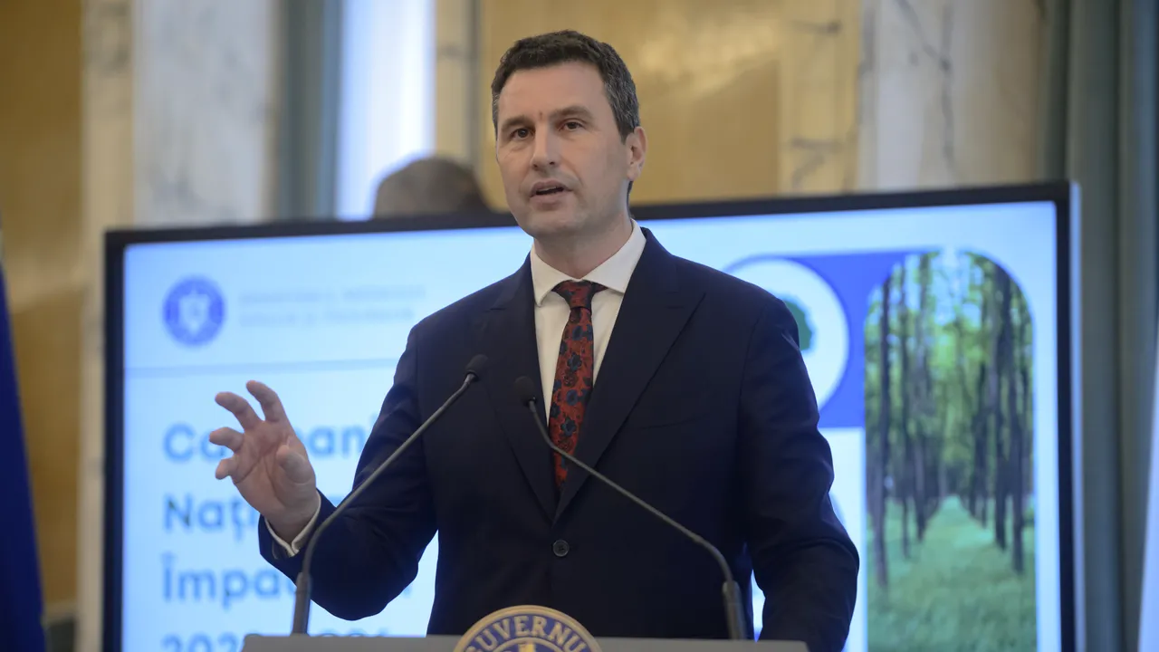 8 eurodeputaţi, în vizită în România după petiţii privitoare la populaţia de urşi şi tăieri ilegale