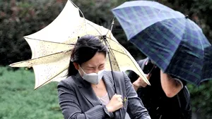 Taifunul Bopha s-a abătut asupra Filipinelor: 52 oameni au murit, iar numărul celor evacuaţi a ajuns la 50.000 - VIDEO