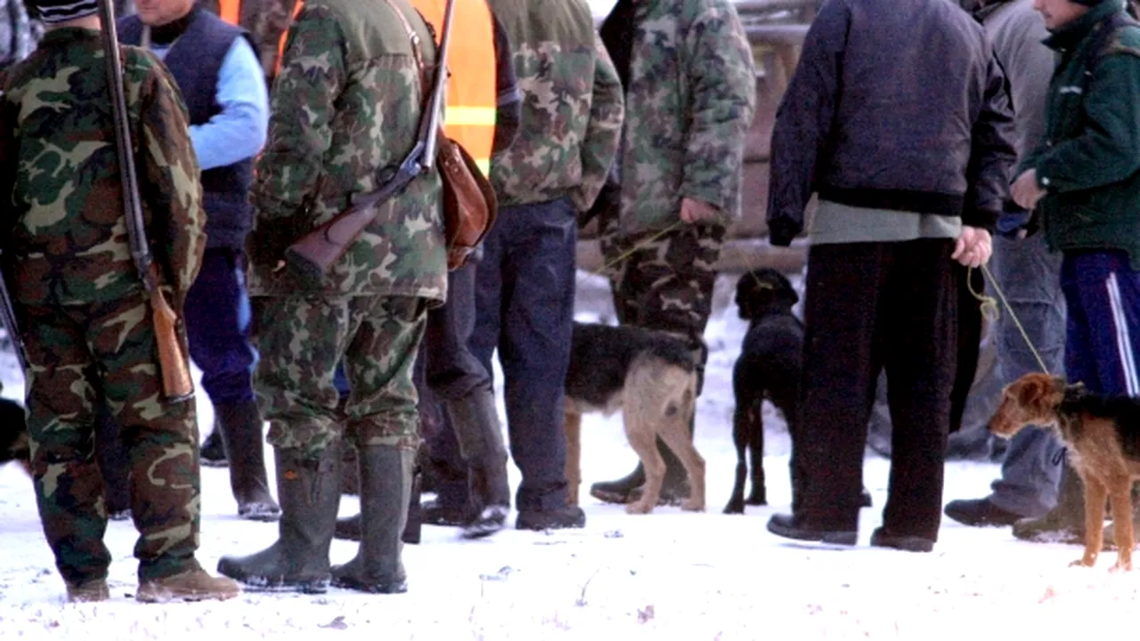 Vânătoarea de la Balc s-a încheiat, fiind împuşcaţi aproximativ 130 de mistreţi