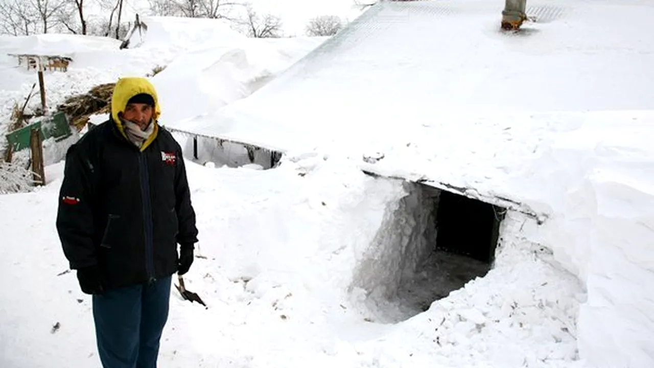 REPORTAJ: Oamenii din Glodeanu Siliştea care reuşiseră să-şi deszăpezească locuinţele, din nou sub nămeţi