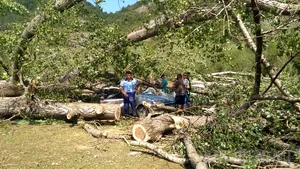 FOTO, VIDEO | O persoană a murit, alte 16 au fost rănite, în urma unei furtuni, lângă Bulz, Bihor/ Primar: Cele mai multe victime sunt dintr-o tabără instalată clandestin/ Poliţiştii fac anchetă pentru moarte violentă