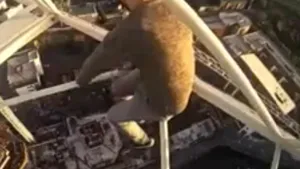 VIDEO: Un tânăr a stat agăţat într-o mână la 50 de metri înălţime, fără nicio măsură de securitate