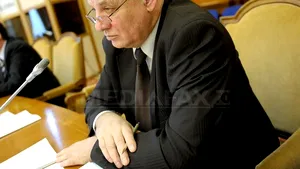 Şeitan: Drepturile de autor să fie contribuabile pentru pensie, sănătatate şi şomaj