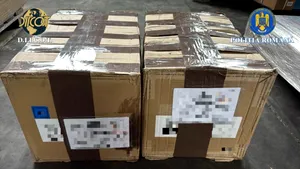 Vrancea: Polițiștii au descoperit încă 15 kilograme de canabis într-o anchetă de trafic internațional de droguri