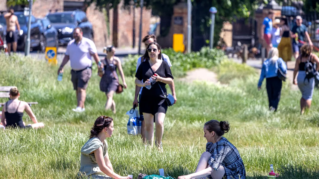 Argeş: zeci de amenzi pentru picnic în spaţii neamenajate