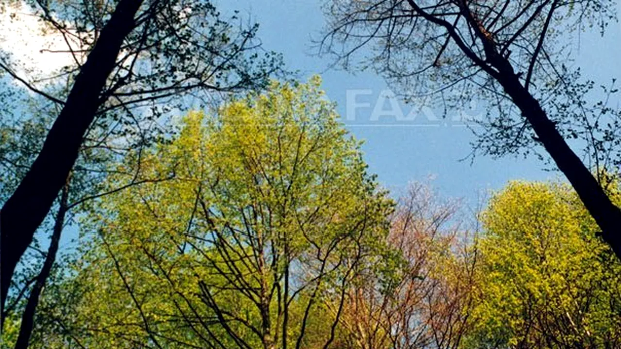 Cum va fi VREMEA la început de săptămână. PROGNOZA METEO pentru luni şi marţi, în ţară şi în Bucureşti 