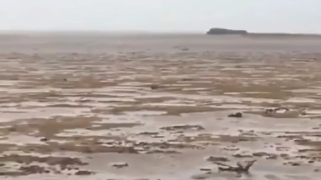 A dispărut oceanul. Fenomenul produs de forţa uraganului Irma, în Bahamas. Explicaţiile specialiştilor | VIDEO