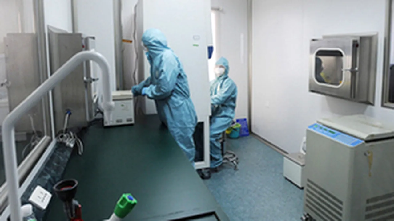 Romania Confirms New H1N1 Infection; Total Cases Reach 25