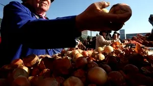 Small Romanian Vegetable, Fruit Producers To Pay Income Taxes