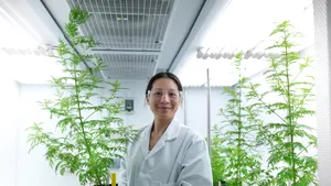 Disperare pe planetă. Un nou ”leac minune” pentru COVID-19 validat de o ţară. Avertismentul OMS