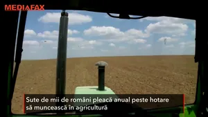 Românii nu pleacă în Germania dacă sunt plătiţi bine la fermele din ţară. O dovedeşte un fermier din Mehedinţi care a reuşit să-şi ţină angajaţii aproape