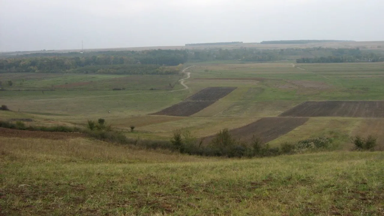 Se pun bazele brandulului „Dealul Muierii”, cel mai lung deal din România
