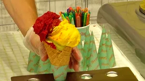 VIDEO | Industria de 200 de milioane de euro a îngheţatei este profitabilă şi în vreme de criză