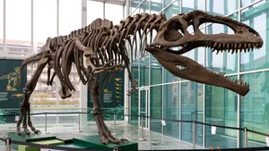 Un schelet de dinozaur ajunge la licitație: prețul estimat este de 30 de milioane de dolari